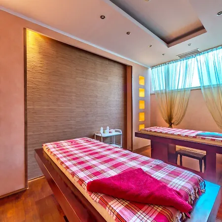 феста панорама Отель 4*